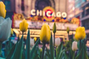 Read more about the article Chicago’s Best May Activities